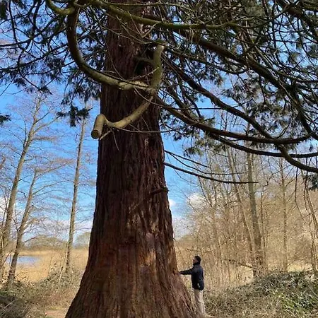 Smukke Omgivelser I Troense