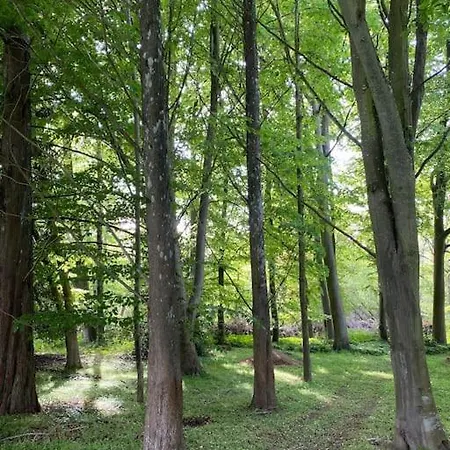 Smukke Omgivelser I Troense Апартаменты