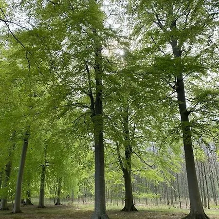 アパート Smukke Omgivelser I Troense スベンボー