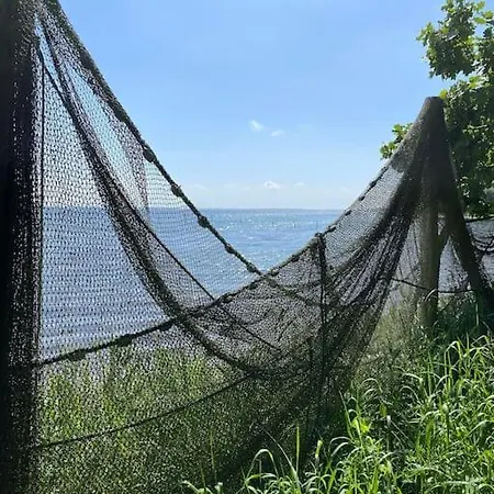 Smukke Omgivelser I Troense *