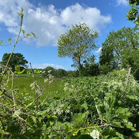 Smukke Omgivelser I Troense スベンボー