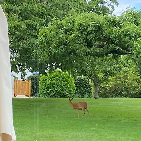 Smukke Omgivelser I Troense アパート スベンボー