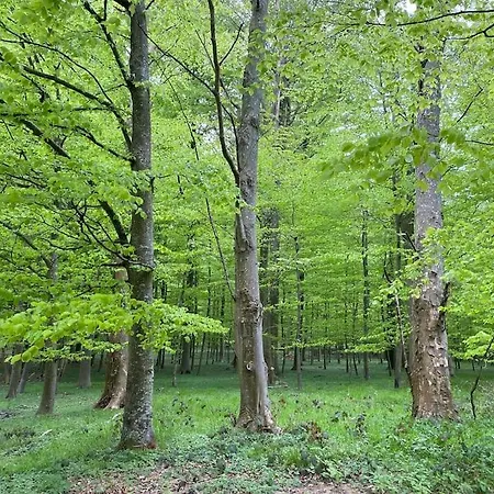 アパート Smukke Omgivelser I Troense