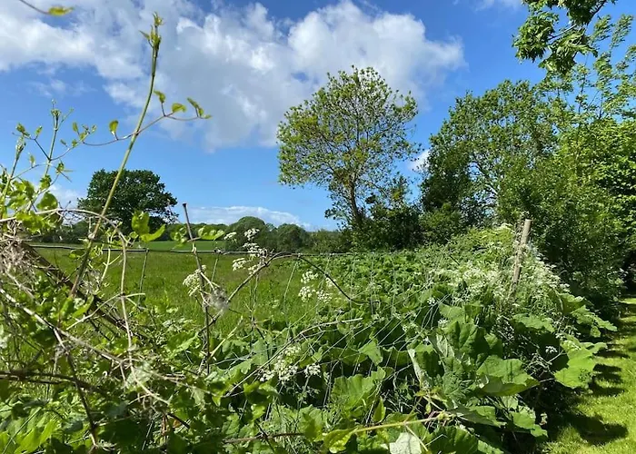 Smukke Omgivelser I Troense Svendborg